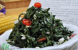 苦菜對(duì)人有什么好處？苦菜有什么功效
