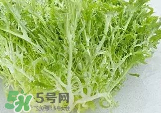 苦菊能涮火鍋吃嗎？苦菊可以涮火鍋嗎