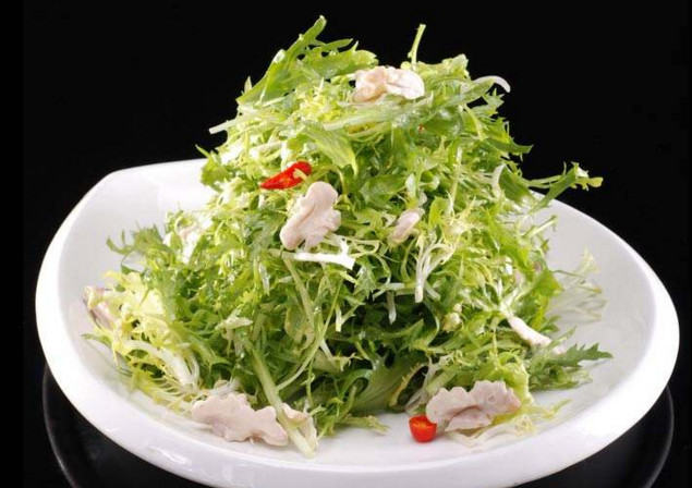 苦菊和什么相克？苦菊不能和什么同吃