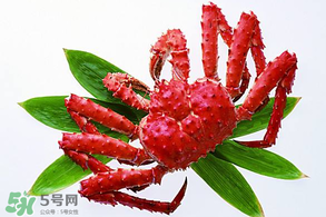 香椿能和海鮮一起吃嗎？香椿和海鮮能一起吃嗎？