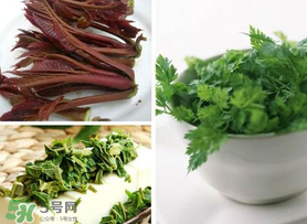 香椿和香菜能一起吃嗎？香椿和香菜怎么做？