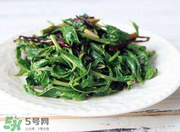 香椿和芹菜能一起吃嗎？香椿可以和芹菜同吃嗎？