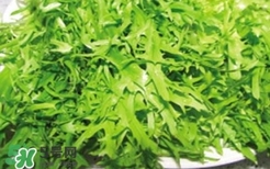 痛風(fēng)能吃苦菊嗎？苦菊痛風(fēng)人可以吃嗎