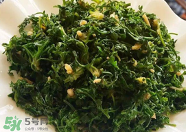 薺菜和香椿能一起吃嗎？薺菜和香椿一起吃好嗎？