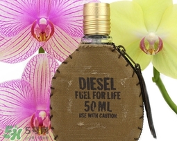 diesel迪塞爾是什么牌子？diesel是哪個國家的？