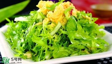 苦菊能和韭菜一起吃嗎？苦菊可以和韭菜一起吃嗎