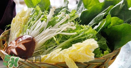 苦菊能涮火鍋吃嗎？苦菊可以涮火鍋嗎