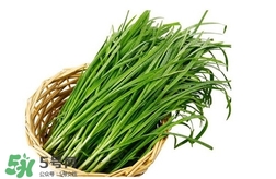 苦菊能和韭菜一起吃嗎？苦菊可以和韭菜一起吃嗎