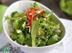苦菊苦嗎？苦菊苦不苦
