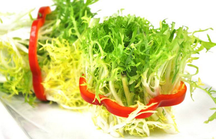 苦菊和什么相克？苦菊不能和什么同吃