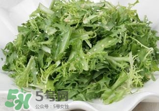 苦菊吃多了好嗎？苦菊吃多了好不