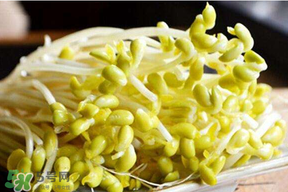 香椿和豆芽能一起吃嗎？香椿豆芽的做法大全