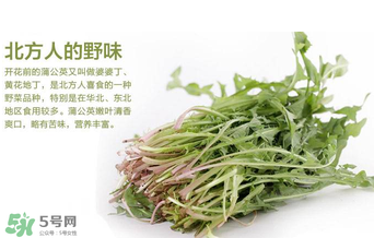 婆婆丁不能與什么同食？婆婆丁不能和什么一起吃？
