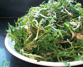 婆婆丁怎么吃？婆婆丁怎么吃最好？