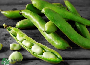 蠶豆什么時候成熟？蠶豆什么時候上市？