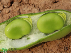 蠶豆什么時候成熟？蠶豆什么時候上市？