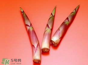 竹筍什么人不能吃？哪些人不適合吃竹筍？