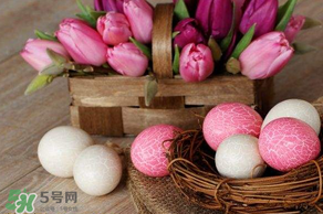 復(fù)活節(jié)怎么過？復(fù)活節(jié)可以做什么？