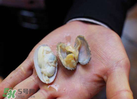 花甲怎么養(yǎng)不會死？花甲怎么養(yǎng)到用第二天？