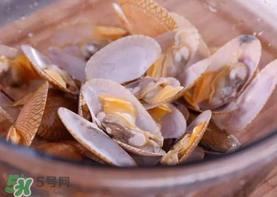 花甲怎么養(yǎng)不會死？花甲怎么養(yǎng)到用第二天？