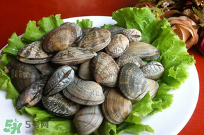 花甲不開口怎么辦？怎么讓花甲開口？