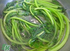 茼蒿要焯水嗎？炒茼蒿用焯水嗎