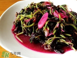 莧菜怎么摘？莧菜怎么處理