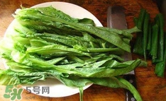 萵苣葉是什么？生菜是不是萵苣葉子