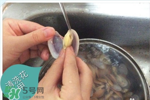 芒果螺怎么清洗？芒果螺怎么吃