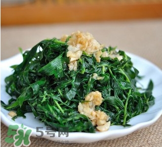 掃帚菜怎么做好吃？掃帚菜怎么吃好吃