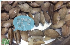 芒果螺怎么清洗？芒果螺怎么吃