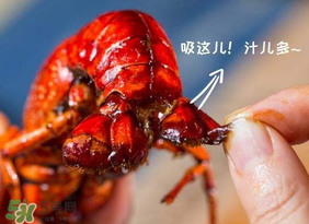 吃油燜大蝦會(huì)胖嗎？油燜大蝦的熱量是多少？
