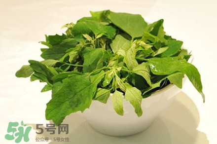 灰灰菜有什么功效？灰灰菜有什么營(yíng)養(yǎng)價(jià)值