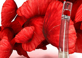 kenzo香水一枝花多少錢(qián)？kenzo一枝花香水怎么樣價(jià)格