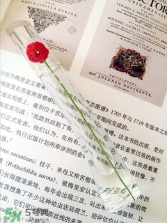 kenzo香水一枝花多少錢？kenzo一枝花香水怎么樣價格
