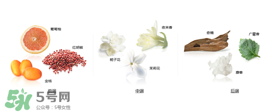 郎朗香水是什么牌子？郎朗香水是什么檔次？