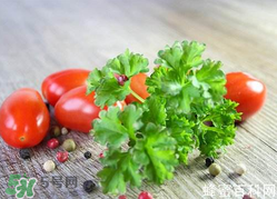 四月份可以種香菜嗎？四月份還能種香萊嗎？