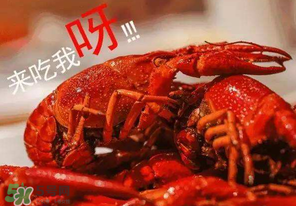 煮熟的小龍蝦隔夜能吃嗎？煮熟的小龍蝦能放多久？