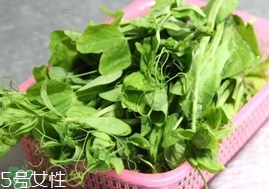 豌豆苗怎么做好吃？豌豆苗的做法