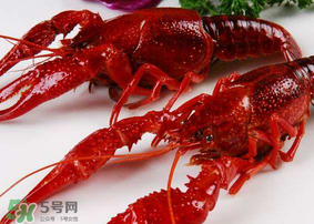龍蝦發(fā)苦怎么回事？龍蝦發(fā)苦能吃嗎？