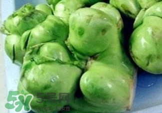 芥菜疙瘩有營(yíng)養(yǎng)嗎？芥菜疙瘩的營(yíng)養(yǎng)價(jià)值
