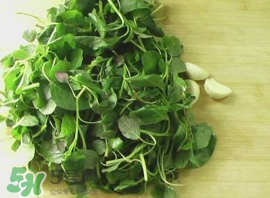 野莧菜能吃嗎？野莧菜圖片