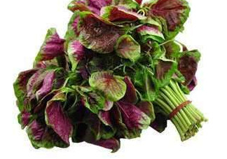 野莧菜能吃嗎？野莧菜圖片