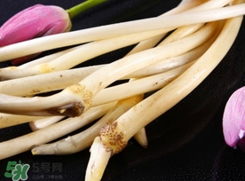 藕帶什么時候有？藕帶什么時候上市