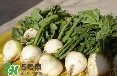 芥菜疙瘩孕婦能吃嗎？孕婦可以吃芥菜疙瘩嗎