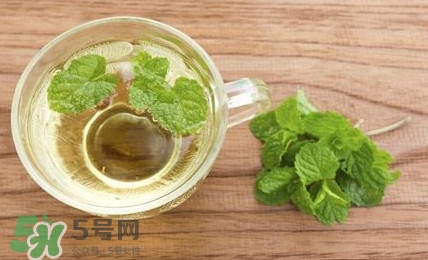薄荷葉能生吃嗎？薄荷葉可以生吃嗎