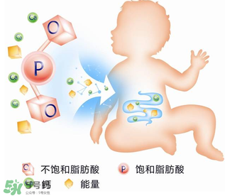 kabrita佳貝艾特羊奶粉怎么樣？kabrita佳貝艾特羊奶粉好不好？