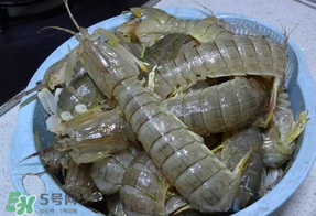 皮皮蝦死的怎么清洗？死的皮皮蝦怎么清洗？