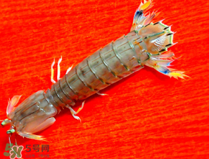 皮皮蝦煮多長(zhǎng)時(shí)間？水煮皮皮蝦多長(zhǎng)時(shí)間？