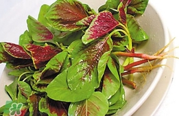 莧菜怎么吃？莧菜怎么炒